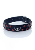 Fetish B - Series - Collar 3 cm. red crystal