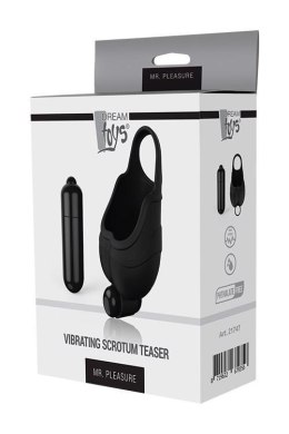 MR. PLEASURE VIBRATING SCROTUM TEASER