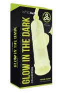 WHIPSMART GLOW IN THE DARK PENIS PUMP & STAMINA RING SET