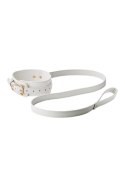 BLAZE ELITE COLLAR AND LEASH WHITE