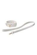 BLAZE ELITE COLLAR AND LEASH WHITE