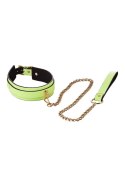 RADIANT COLLAR AND LEASH GLOW IN THE DARK GREEN