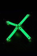 RADIANT HOG TIE GLOW IN THE DARK GREEN