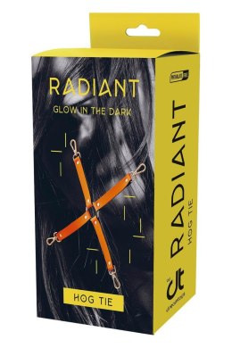 RADIANT HOG TIE GLOW IN THE DARK ORANGE