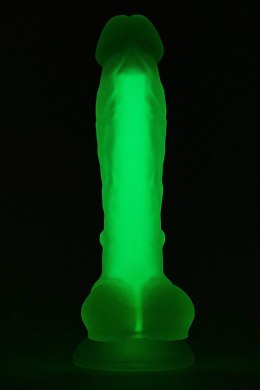 RADIANT SOFT SILICONE GLOW IN THE DARK DILDO SMALL GREEN