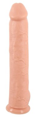 Realistixxx - Xxxl Naturalne Dildo Z Żyłami Żołędziem I Jądrami 42cm