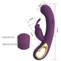 PRETTY LOVE - Liam purple, 12 vibration functions Mobile APP Long-distance Control