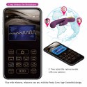 PRETTY LOVE - Liam purple, 12 vibration functions Mobile APP Long-distance Control