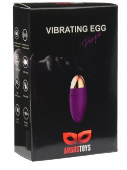 Vibrating egg Purple