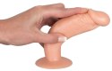 You2Toys - Zestaw dildo do treningu analnego