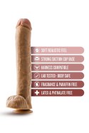 DR. SKIN DR. MICHAEL 14 INCH DILDO WITH BALLSTAN