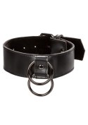 Collar With Chain Leash Black