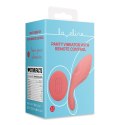 Panty Vibrator with Remote Control