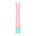 Mini Rabbit Vibrator with USB Charger