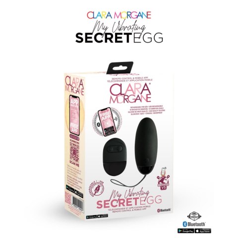 My Vibrating Secret EGG Black - App controlled