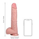 RealRock - Extra duże realistyczne dildo z jądrami 33 cm