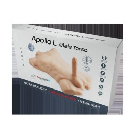 Apollo L Male Torso Flesh