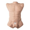 Apollo L Male Torso Flesh