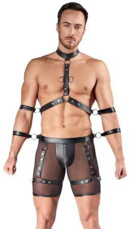 Men's Harness and Pants L