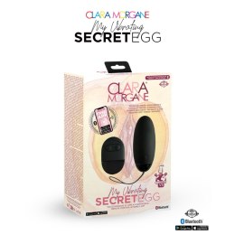 My Vibrating Secret EGG Black - App controlled