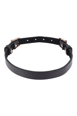 SEX AND MISCHIEF DOUBLE BUCKLE DAY COLLAR