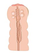 A&E ADAMS TIGHT STROKER MASSAGE BEADS