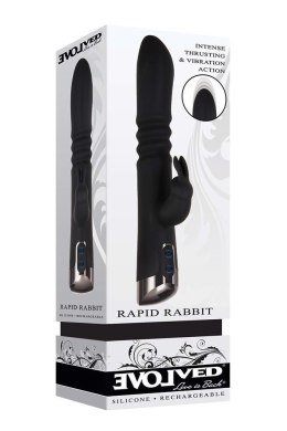 EVOLVED RAPID RABBIT BLACK