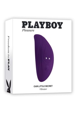 PLAYBOY OUR LITTLE SECRET