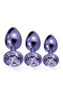 NIXIE METAL BUTT PLUGÂ TRAINERÂ SET, PURPLE METALLIC