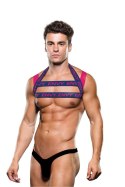 ENVY LOGO HARNESS BLUE PINK, S/M