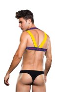 ENVY LOGO HARNESS BLUE YELLOW, L/XL