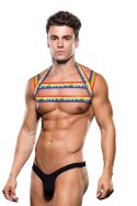 RAINBOW HARNESS, L/XL