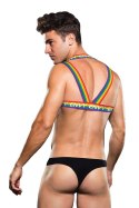 RAINBOW HARNESS, S/M