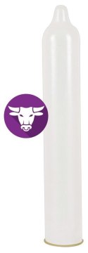 Secura El Toro pack of 24