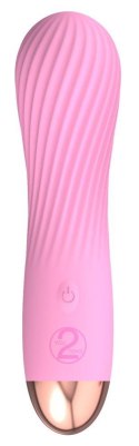 Cuties Mini Vibrator Rose 2.G