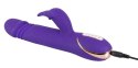 Rabbit Skater Purple