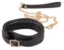 Leather Collar and Leash gold