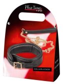 Leather Collar and Leash gold