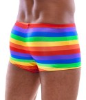 Men's Boxer Briefs Rainbow XL