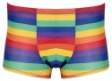 Men's Boxer Briefs Rainbow XL