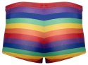 Men's Boxer Briefs Rainbow XL