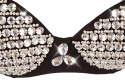 Glittery Bra 85B