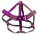 Head Harness